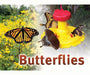 Butterflies Sign