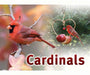 Cardinals Sign