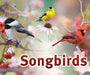 Songbirds Sign