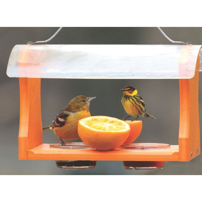 RECYCLED ORIOLE FEEDER