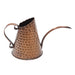 Achla Designs Dainty Copper Watering Can  
