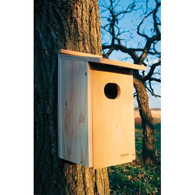 Cedar Wood Duck House - The Bird Shed