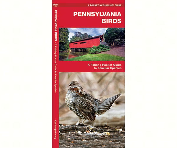 Pennsylvania Birds by James Kavanagh