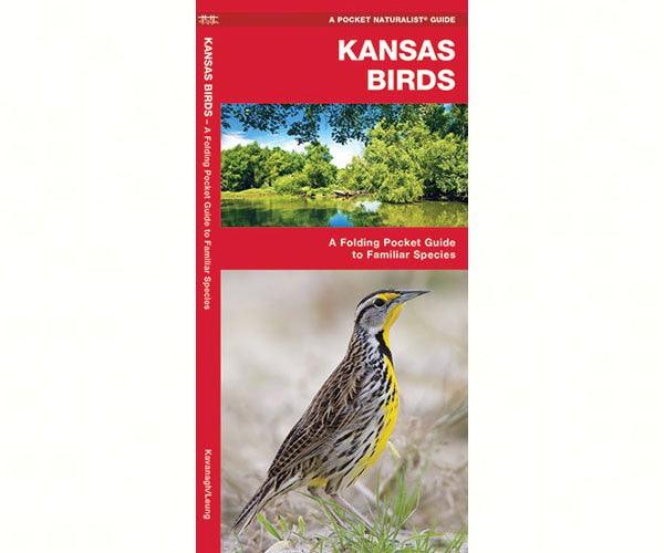 Kansas Birds by James Kavanagh