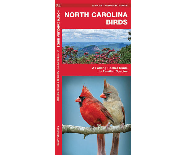 North Carolina Birds