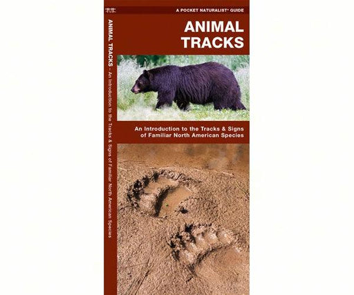 Animal Tracks by James Kavanagh