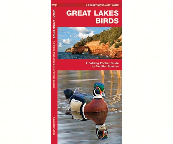 Great Lakes Birds  by James Kavanagh