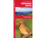 Virginia Birds by James Kavanagh
