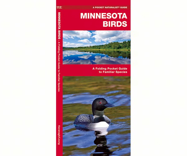 Minnesota Birds by James Kavanagh