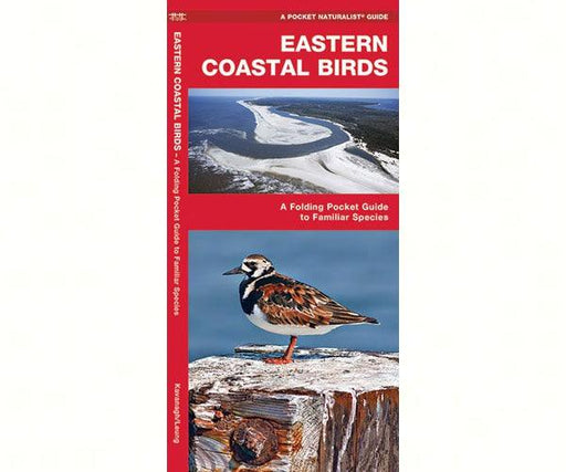 Eastern Coastal Birds by James Kavanagh