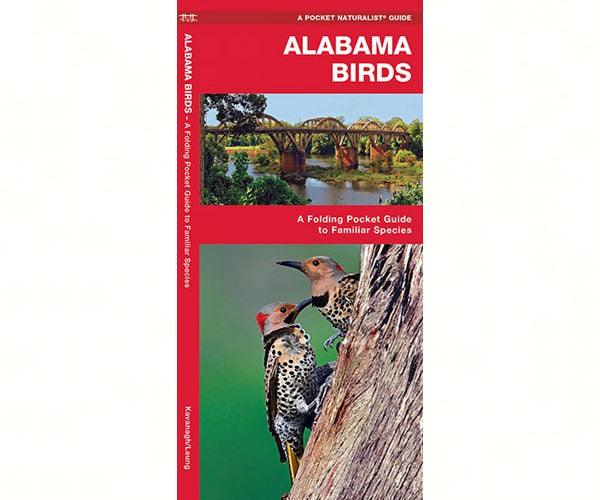 Alabama Birds by James Kavanagh