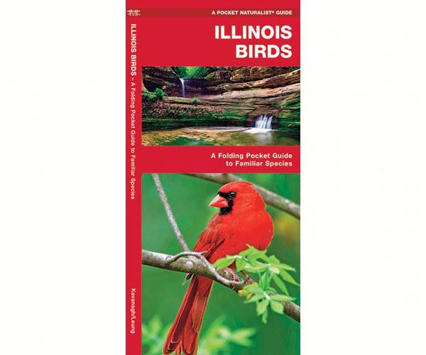 Illinois Birds by James Kavanagh