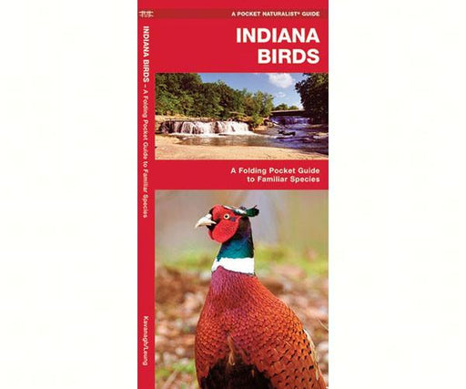 Indiana Birds by James Kavanagh