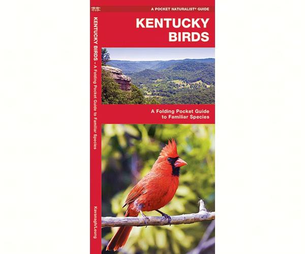 Kentucky Birds by James Kavanagh
