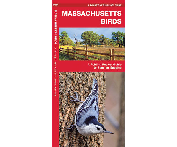 Massachusetts Birds by James Kavanagh
