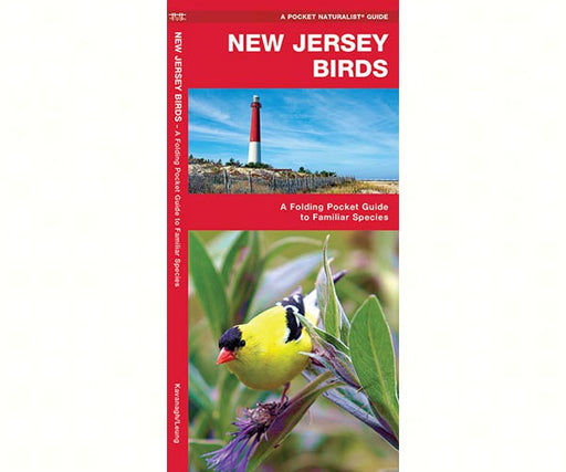 New Jersey Birds by James Kavanagh