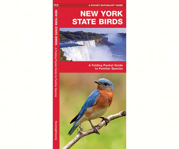 New York State Birds by James Kavanagh