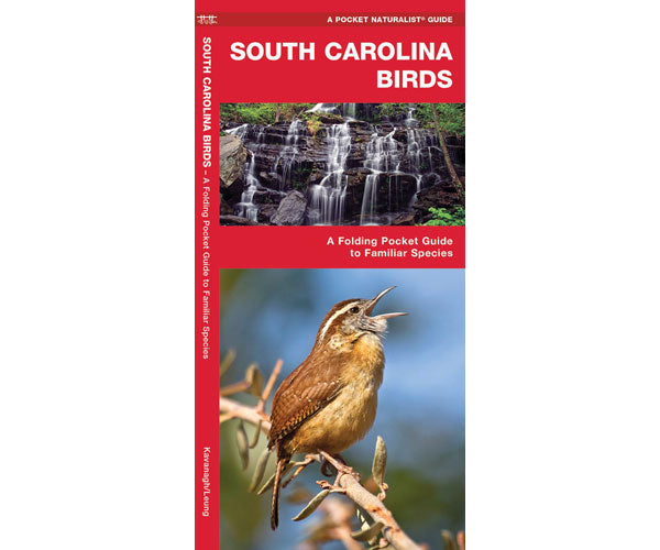 South Carolina Birds by James Kavanagh