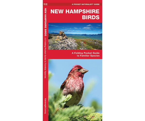New Hampshire Birds by James Kavanagh