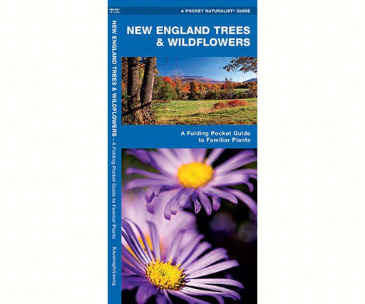 New England Trees and Wildflowers by James Kavanagh