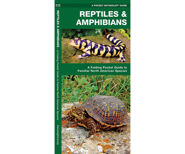 Reptiles and Amphibians by James Kavanagh