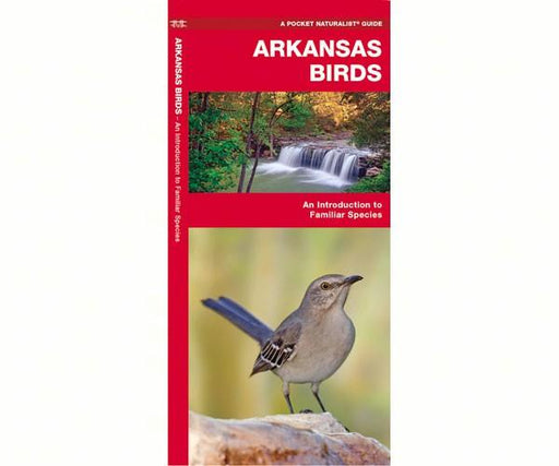 Arkansas Birds by James Kavanagh