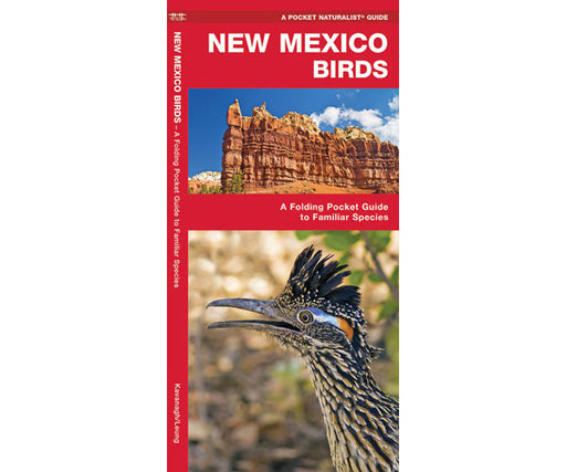 New Mexico Birds by James Kavanagh