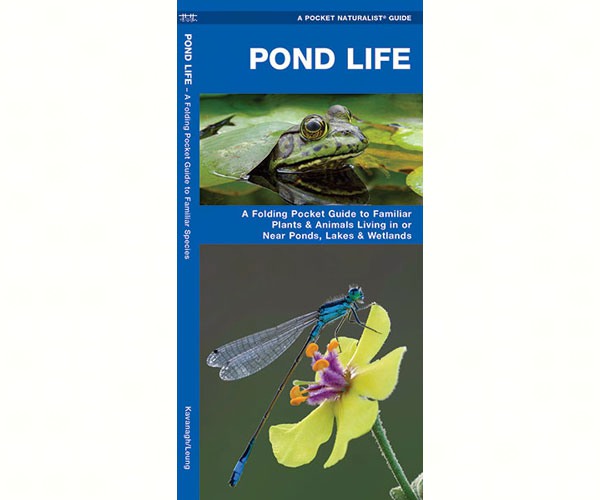 Pond Life by James Kavanagh