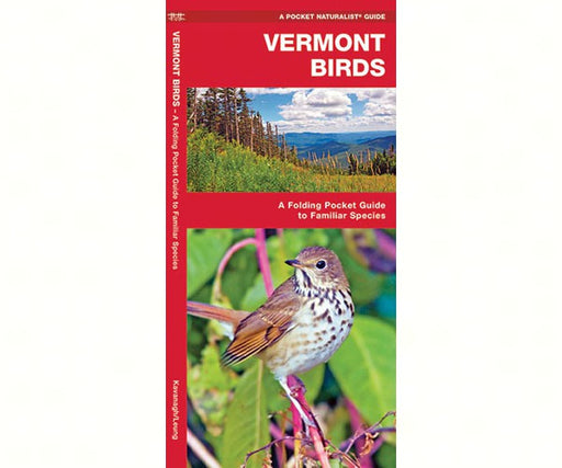 Vermont Birds by James Kavanagh