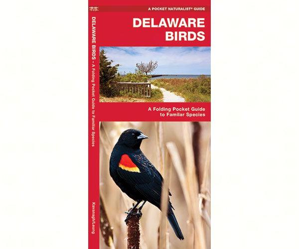 Delaware Birds by James Kavanagh