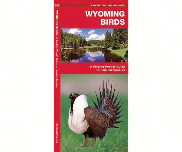 Wyoming Birds by James Kavanagh