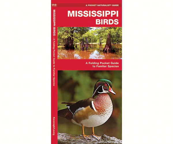 Mississippi Birds by James Kavanagh