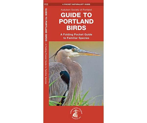 Guide to Portland Birds by James Kavanagh