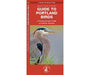 Guide to Portland Birds by James Kavanagh
