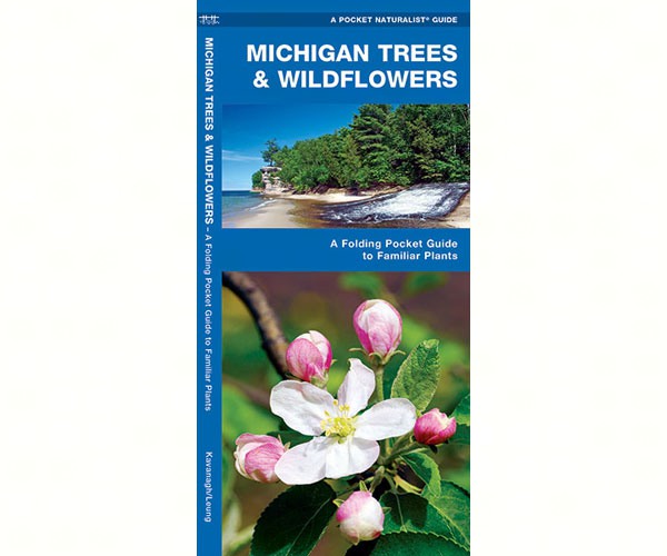 Michigan Trees and Wildflowers by James Kavanagh