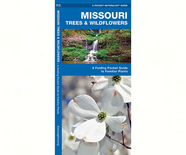 Missouri Trees and Wildflowers by James Kavanagh