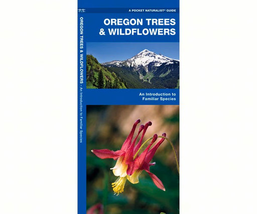 Oregon Trees and Wildflowers
