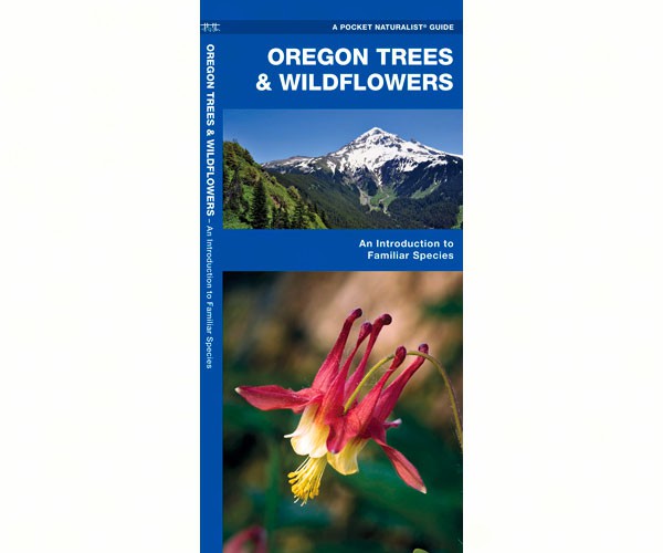 Oregon Trees and Wildflowers