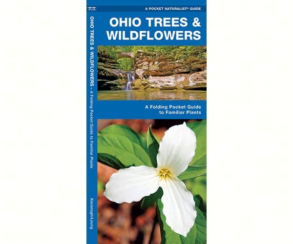 Ohio Trees and Wildflowers by James Kavanagh
