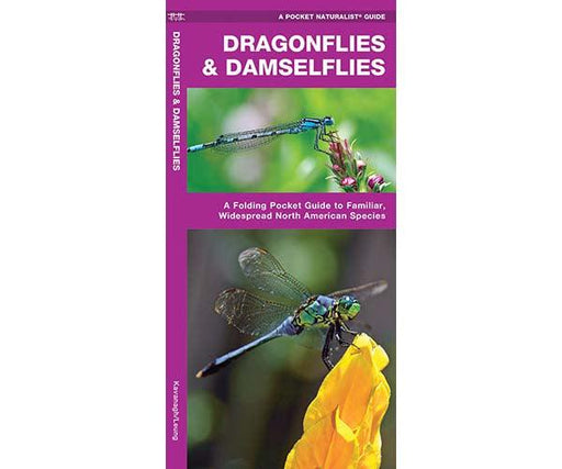Dragonflies and Damselflies by James Kavanagh