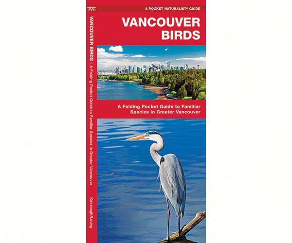 Vancouver Birds by James Kavanagh