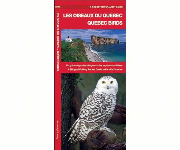 Quebec Birds