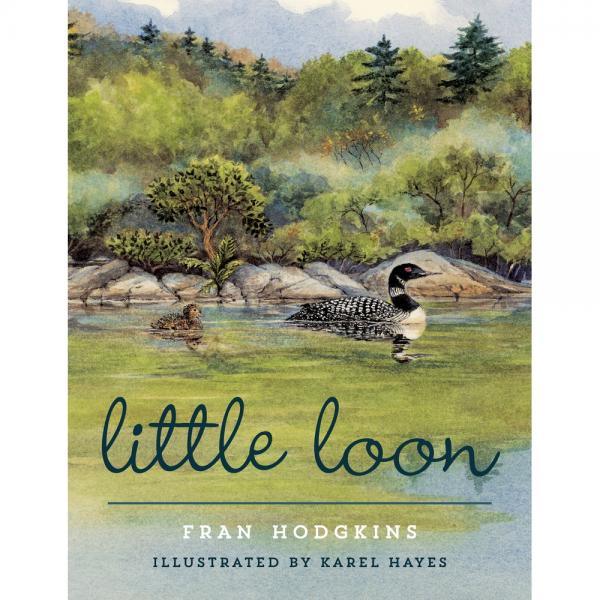 Little Loon by Fran Hodgkins