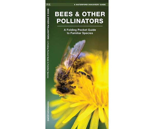Bees and Other Pollinators by James Kavanagh