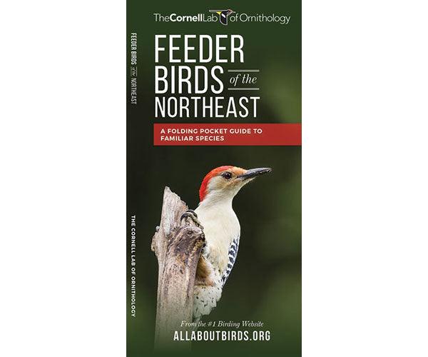 Feeder Birds of the Northeast US by Cornell Lab of Ornithology