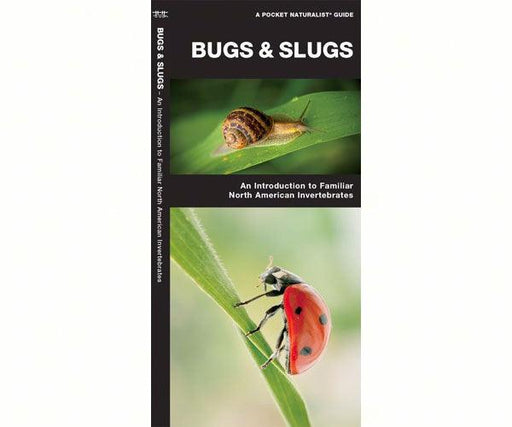 Bugs and Slugs by James Kavanagh