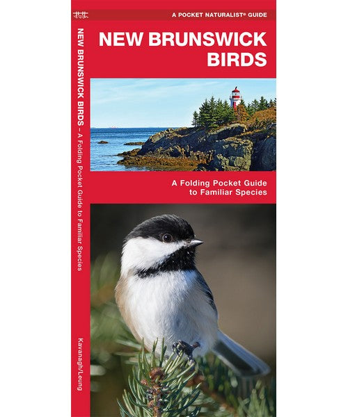 New Brunswick Birds by James Kavanagh