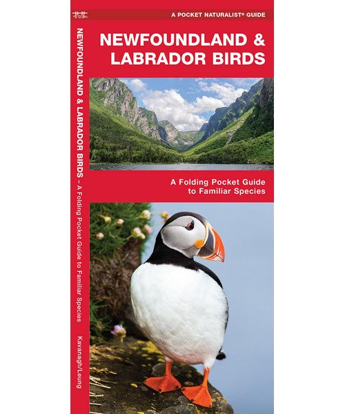 Newfoundland and Labrador Birds by James Kavanagh