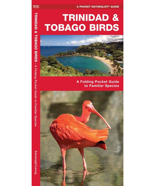 Trinidad and Tobago Birds by James Kavanagh