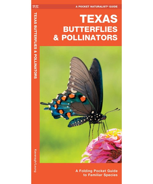 Texas Butterflies and Pollinator by James Kavanagh